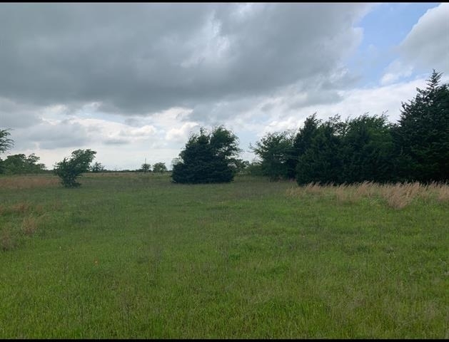 1449 County Road 4131 - Photo 7