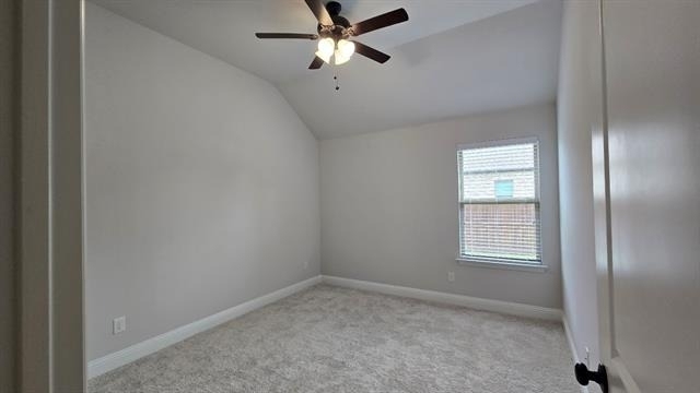 552 Firethorn Drive - Photo 13