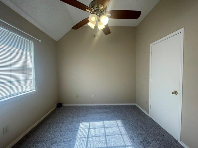 4741 Birchbend Lane - Photo 16