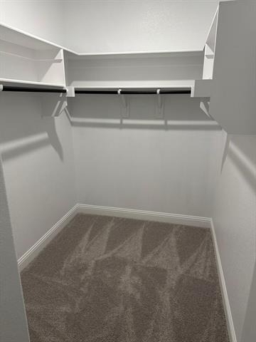 913 Amenduni Lane - Photo 8