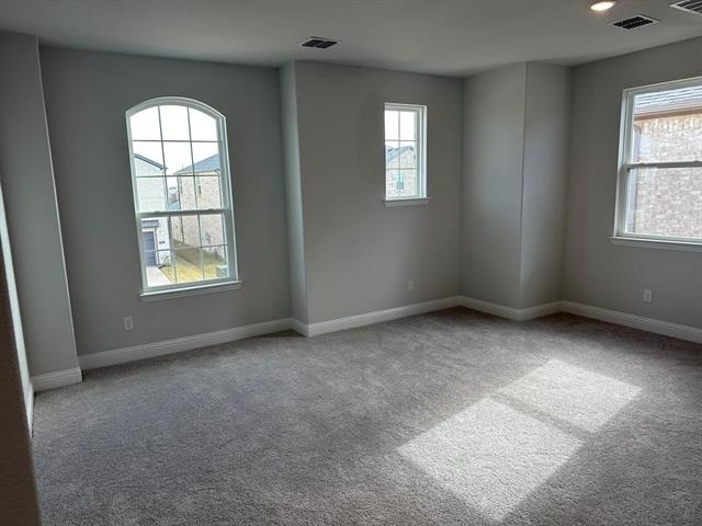 913 Amenduni Lane - Photo 15