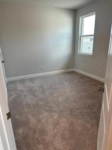 913 Amenduni Lane - Photo 13