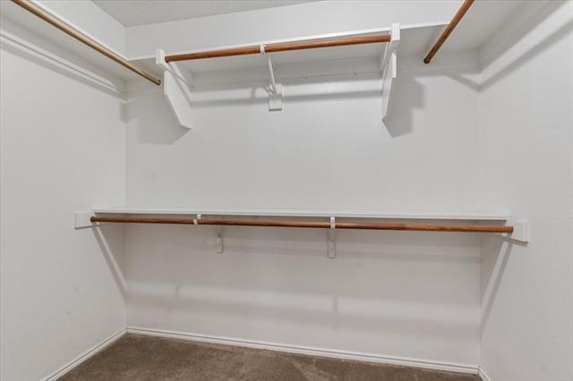 9812 George Washington Drive - Photo 18
