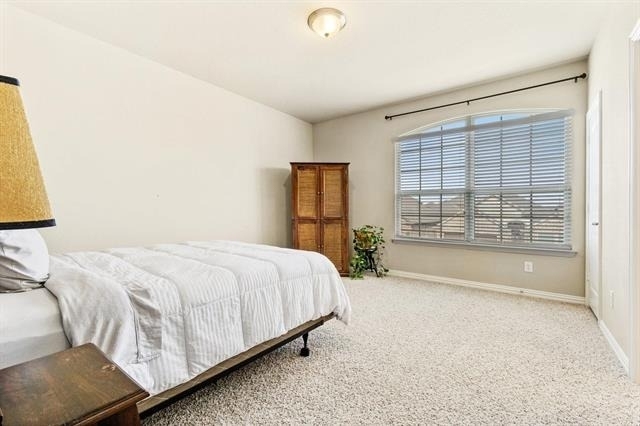 14829 Star Creek Drive - Photo 16
