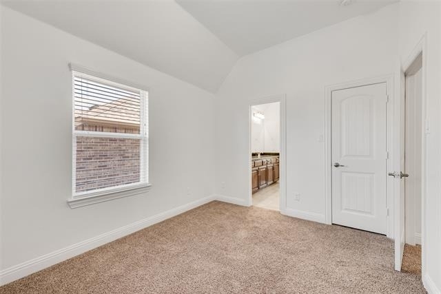 10409 Jackson Hole Lane - Photo 22