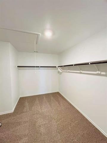 4331 Rendezvous Way - Photo 15