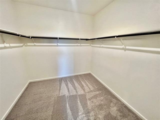 3008 Lacebark Court - Photo 12