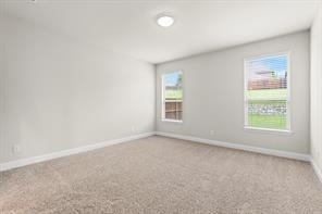 2808 Inn Kitchen Way - Photo 11