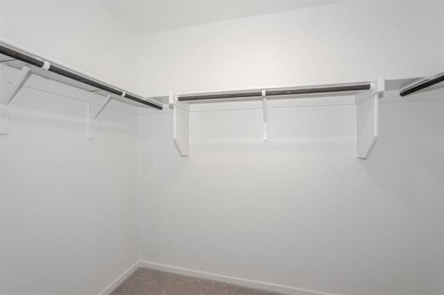 1419 Merlin Bluff Street - Photo 12
