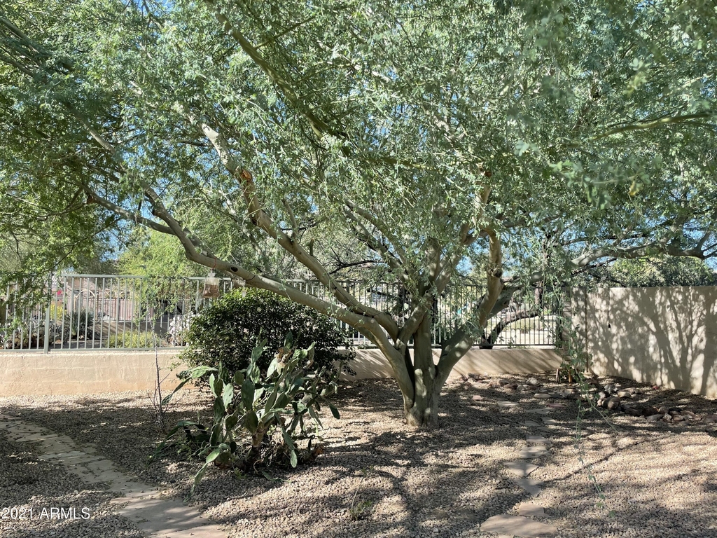 25236 N 41st Avenue - Photo 6