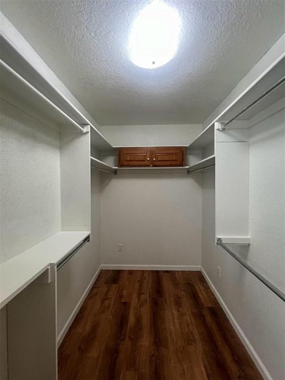 7317 Louisburg Drive - Photo 14