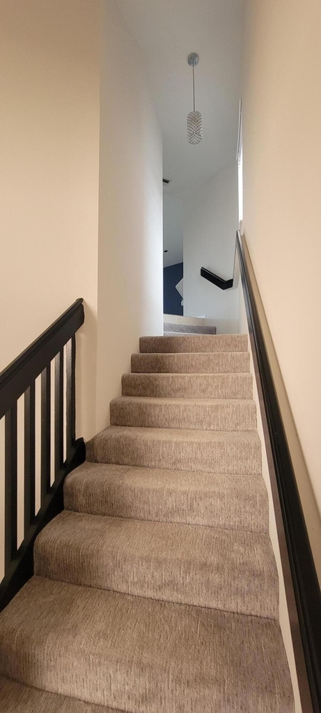 5299 Europa Drive - Photo 5