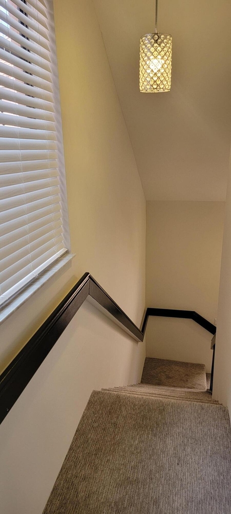 5299 Europa Drive - Photo 34