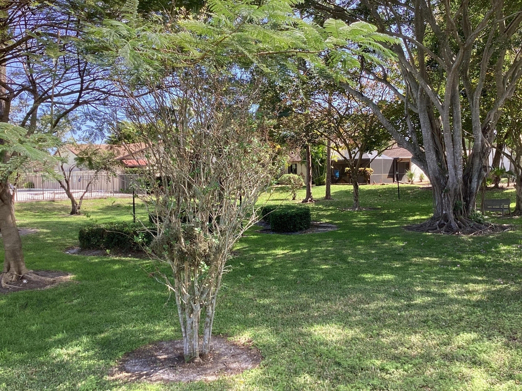 8895 Old Pine Road - Photo 42
