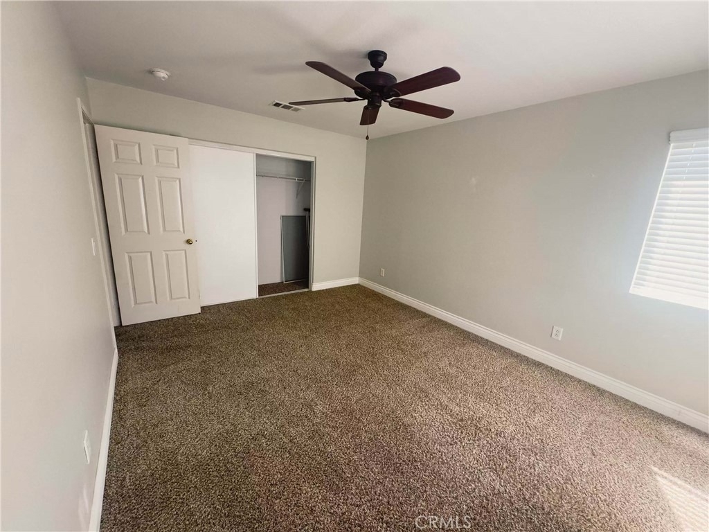 35631 Date Palm - Photo 19
