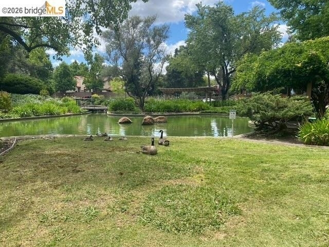 360 N Civic Dr - Photo 5