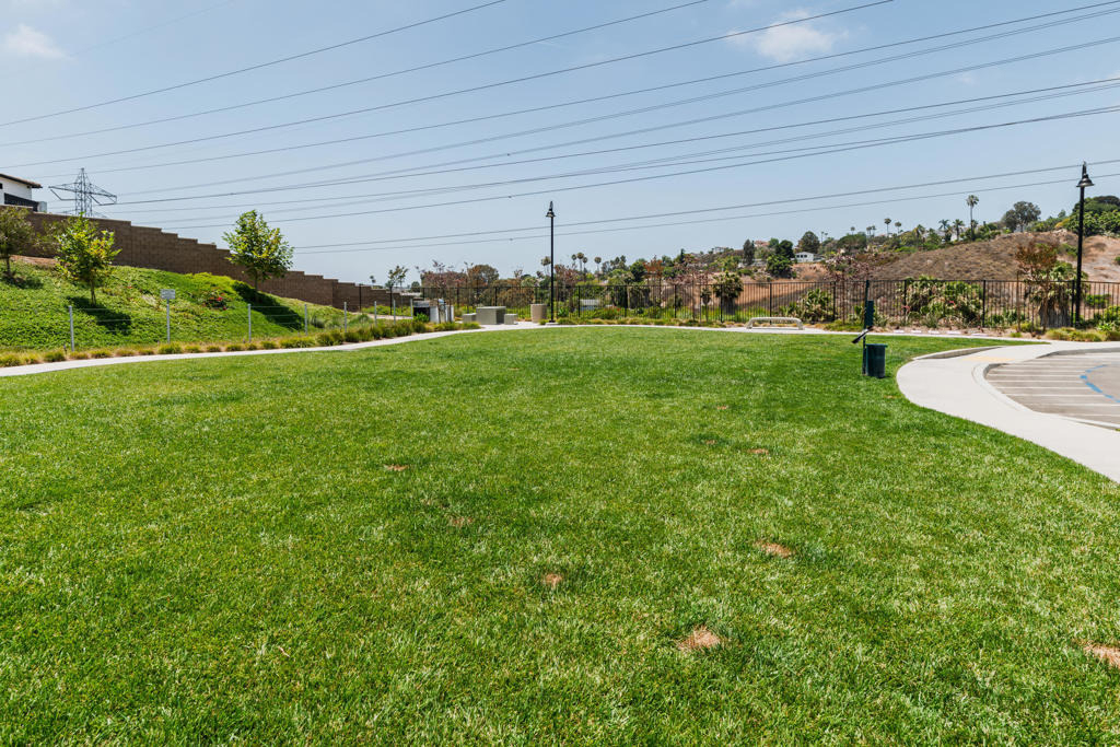 4618 Catmint Lane - Photo 32