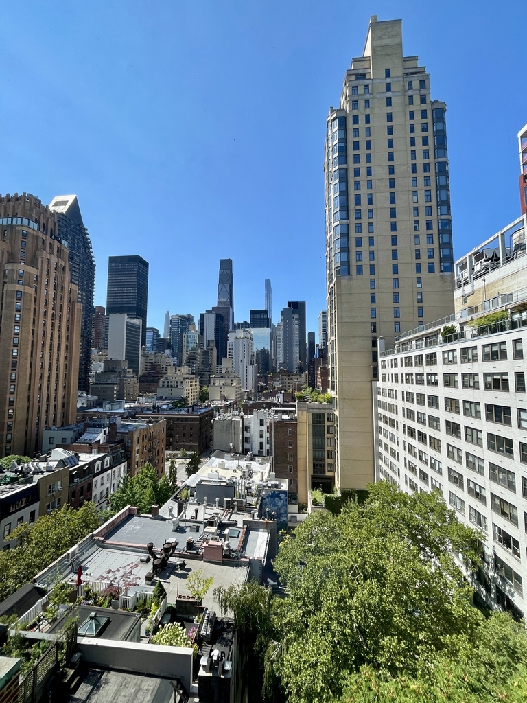 20 Beekman Place, 12A - Photo 5
