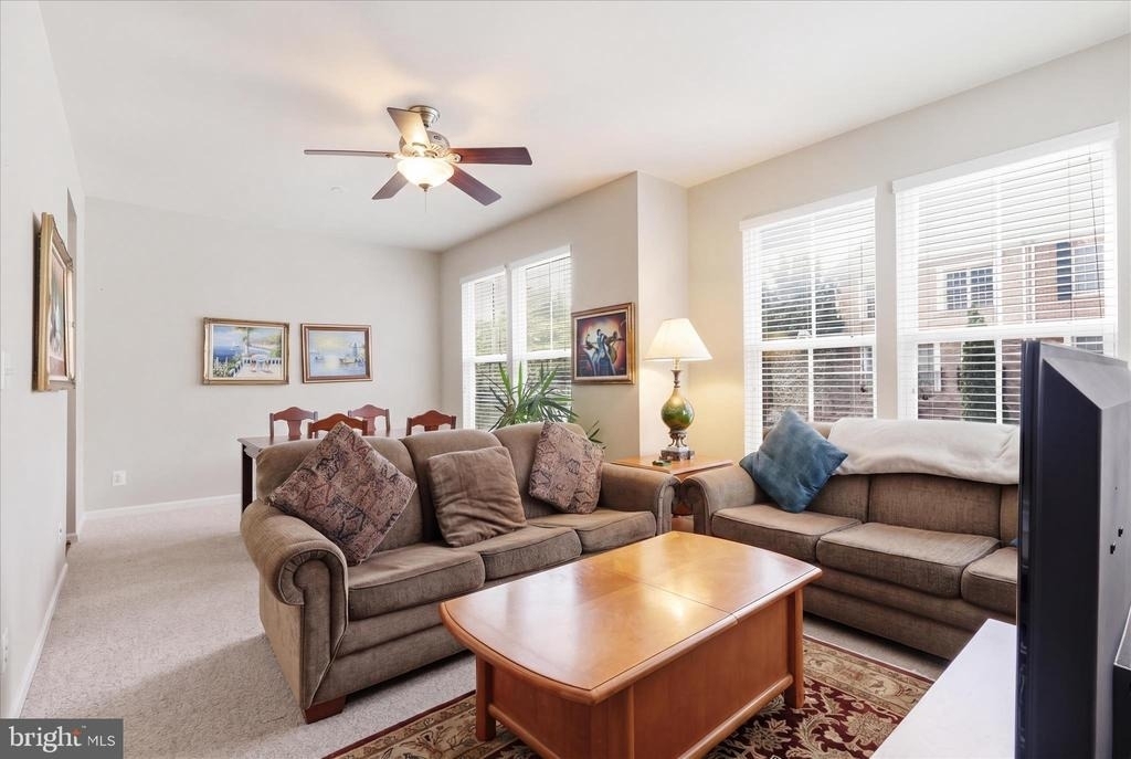 42476 Regal Wood Drive - Photo 9