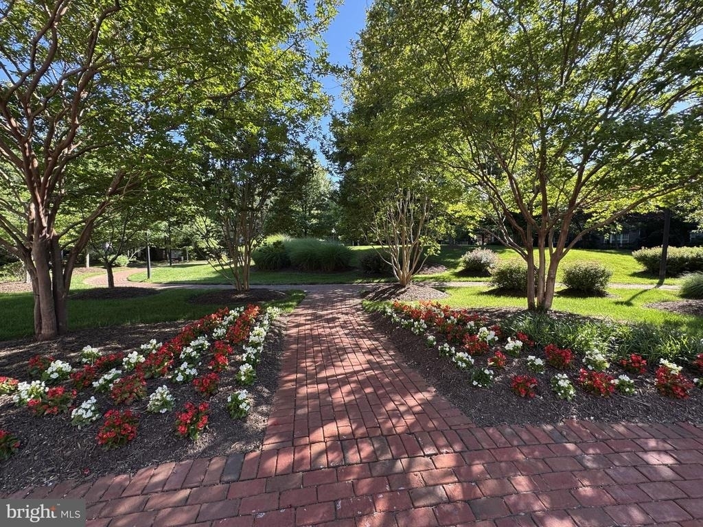 2151 Red Vine Drive - Photo 19