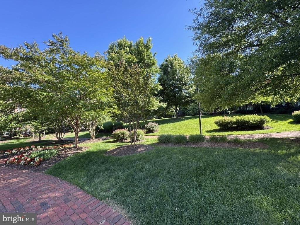 2151 Red Vine Drive - Photo 20