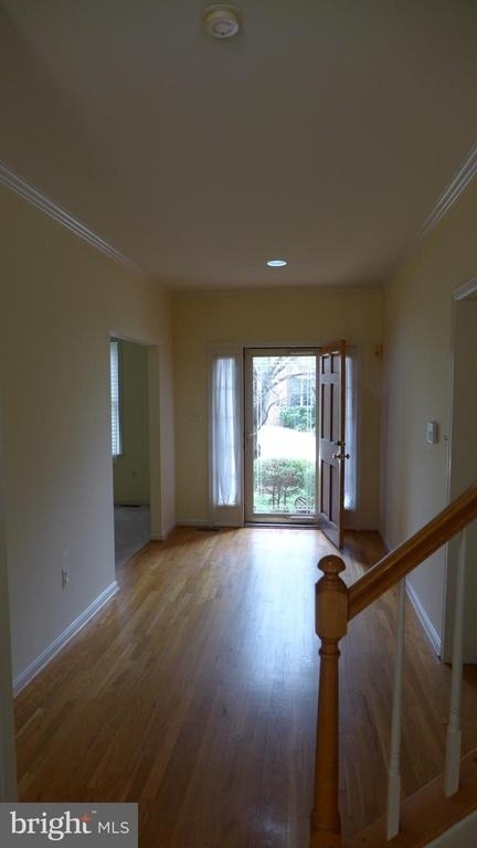 10008 Manor Place - Photo 3