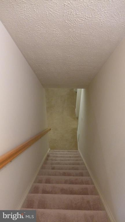 10008 Manor Place - Photo 17