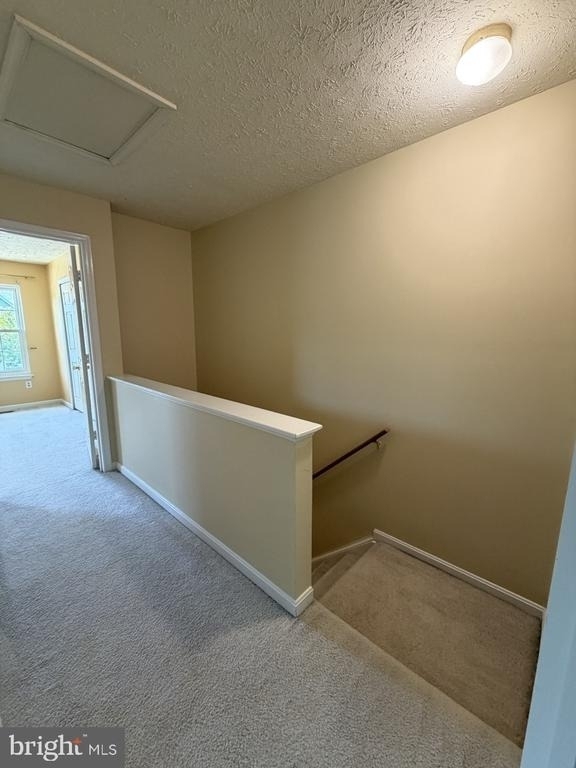107 Peridot Place - Photo 38