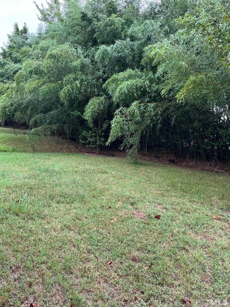 2017 Remington Oaks Circle - Photo 32