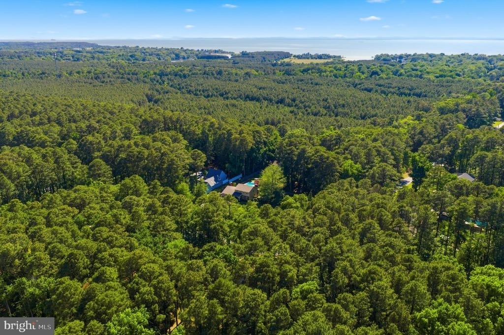 301 Wicomico Road - Photo 31