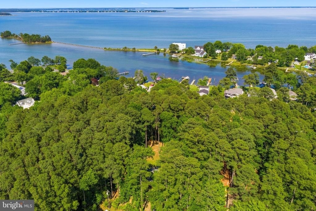 301 Wicomico Road - Photo 28