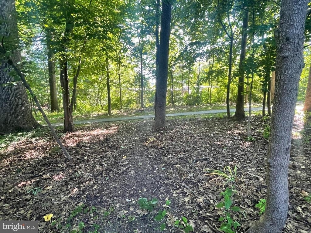 19002 Stedwick Drive - Photo 35