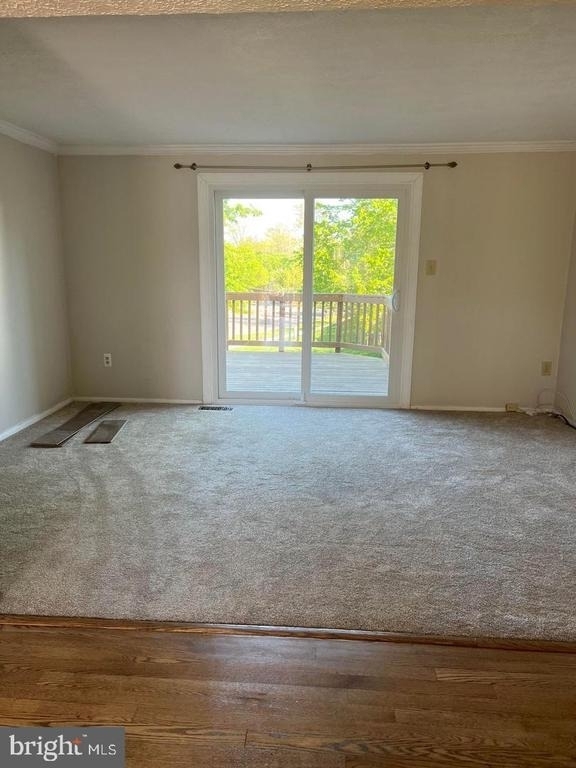 11702 Zebrawood Court - Photo 2