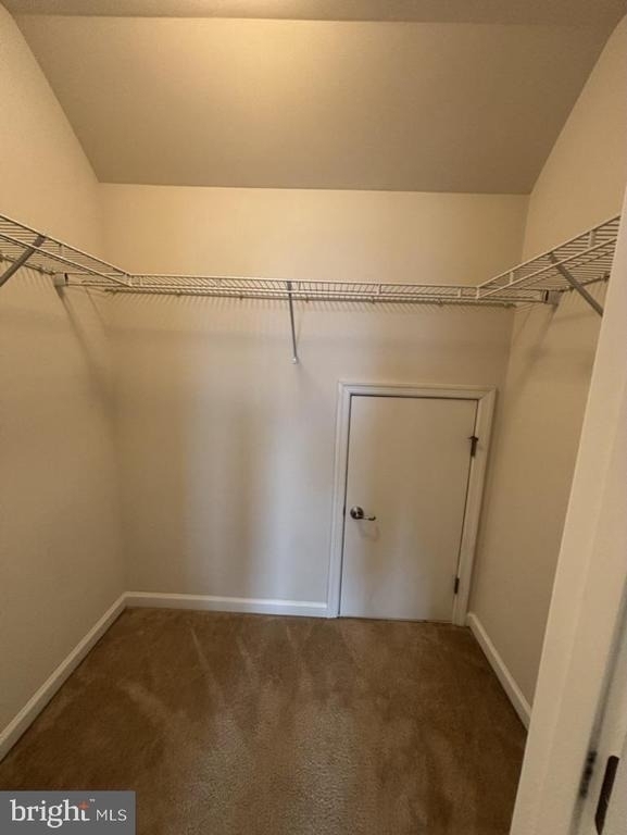 6503 Ballenger Run Boulevard - Photo 5