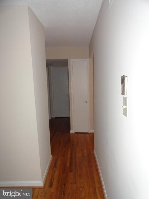1101 St Paul Street - Photo 3