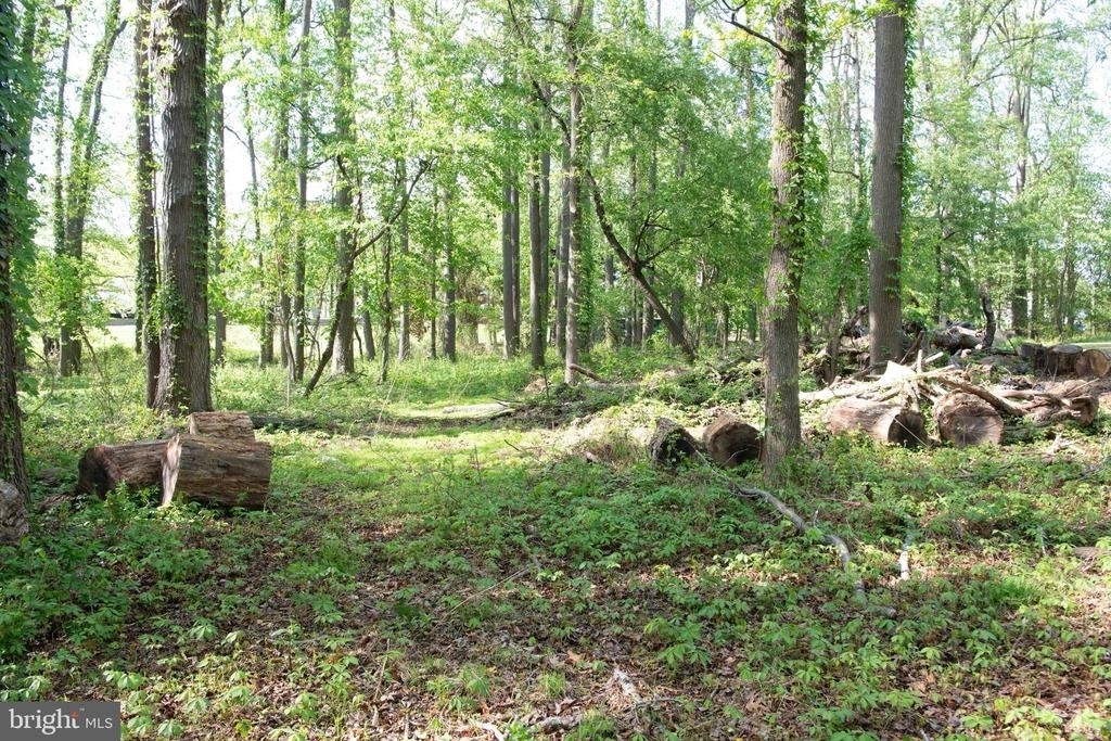 4785 Mountain Road - Photo 22