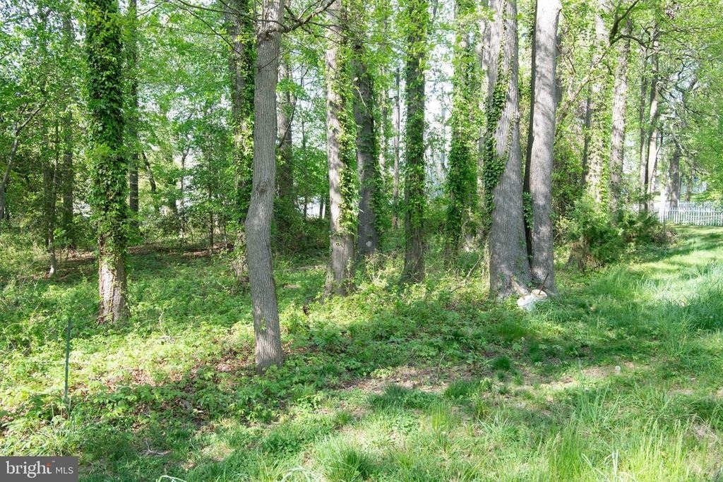 4785 Mountain Road - Photo 15