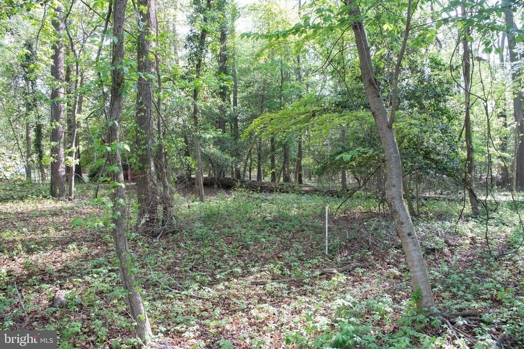 4785 Mountain Road - Photo 21