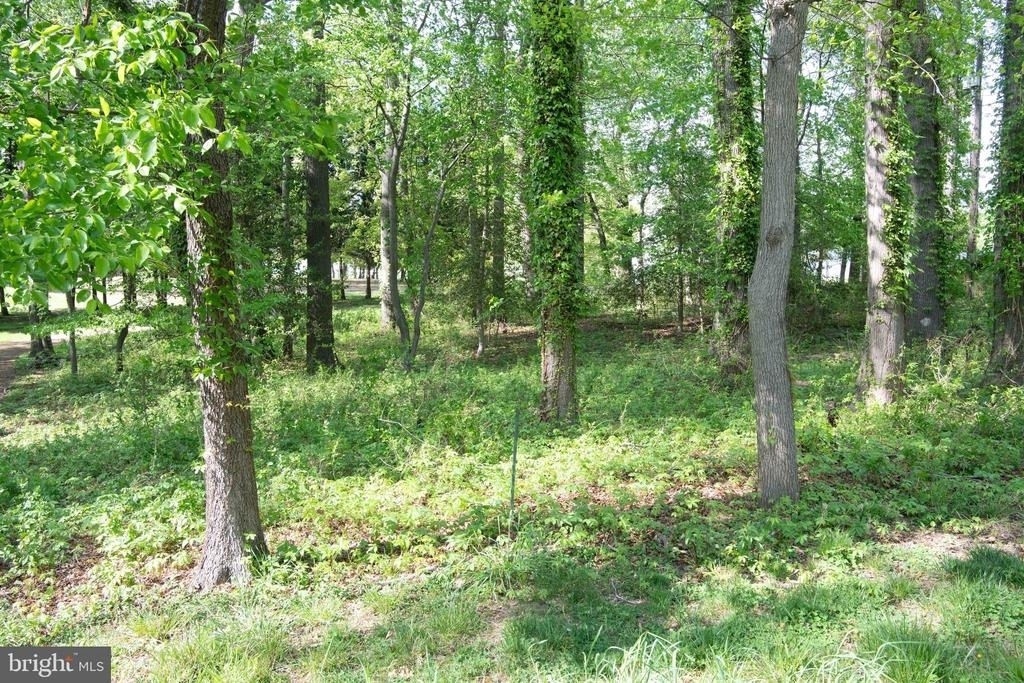 4785 Mountain Road - Photo 16