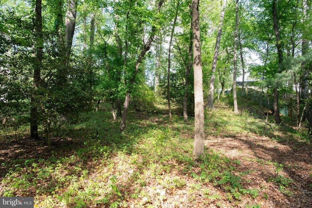 4785 Mountain Road - Photo 20