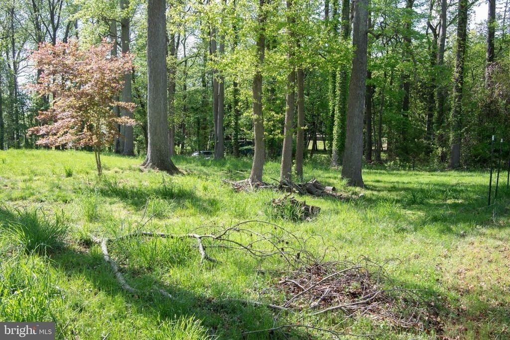 4785 Mountain Road - Photo 17