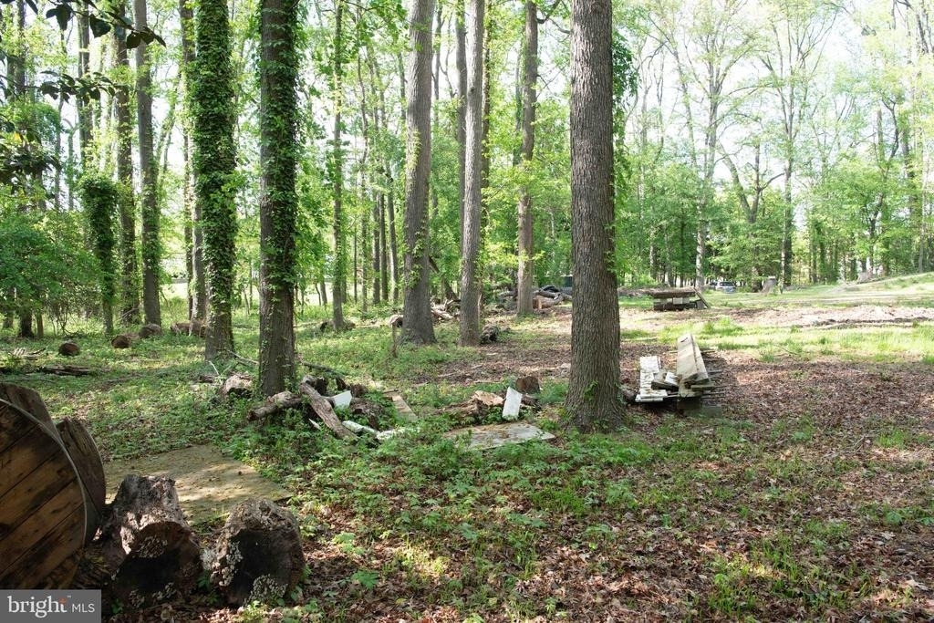 4785 Mountain Road - Photo 19