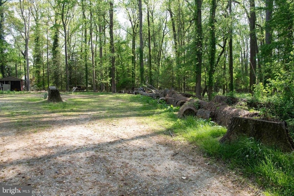 4785 Mountain Road - Photo 14