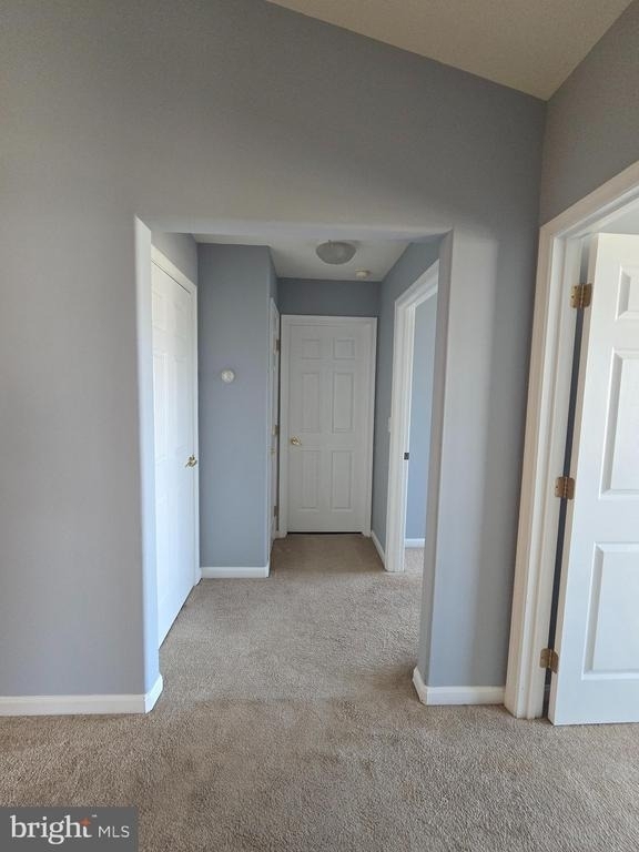 3003j Heather - Photo 11