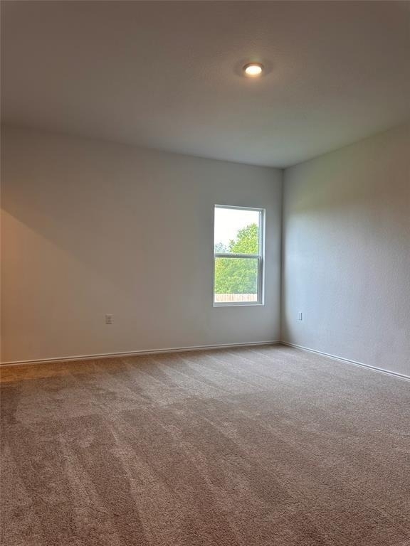 2525 Willkomen Way - Photo 8