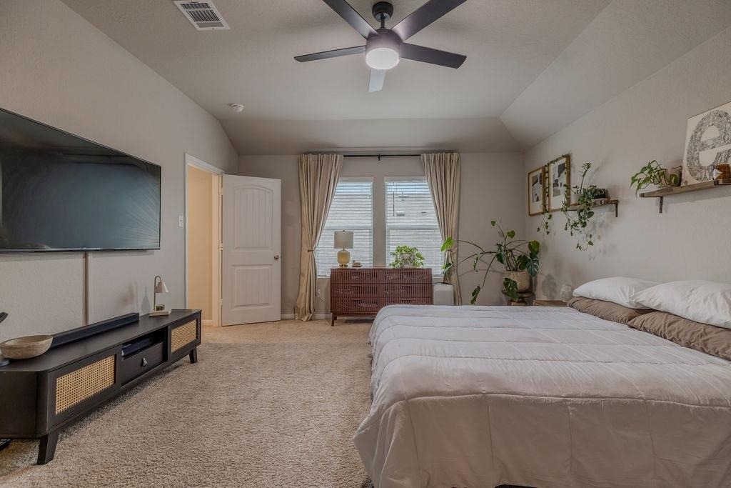 393 Apache Plum Dr - Photo 14