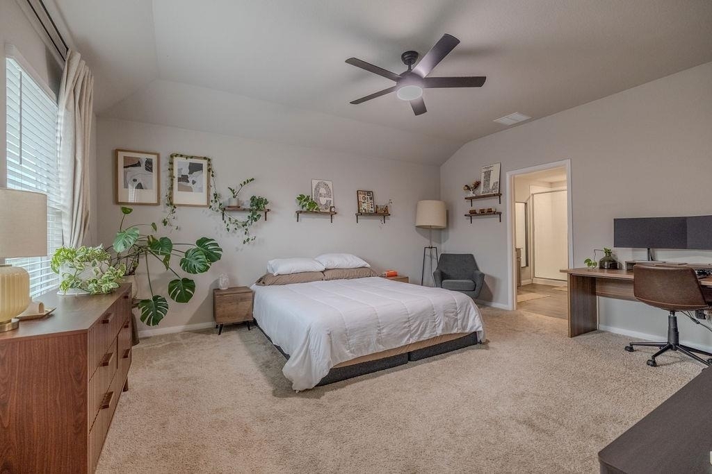 393 Apache Plum Dr - Photo 13