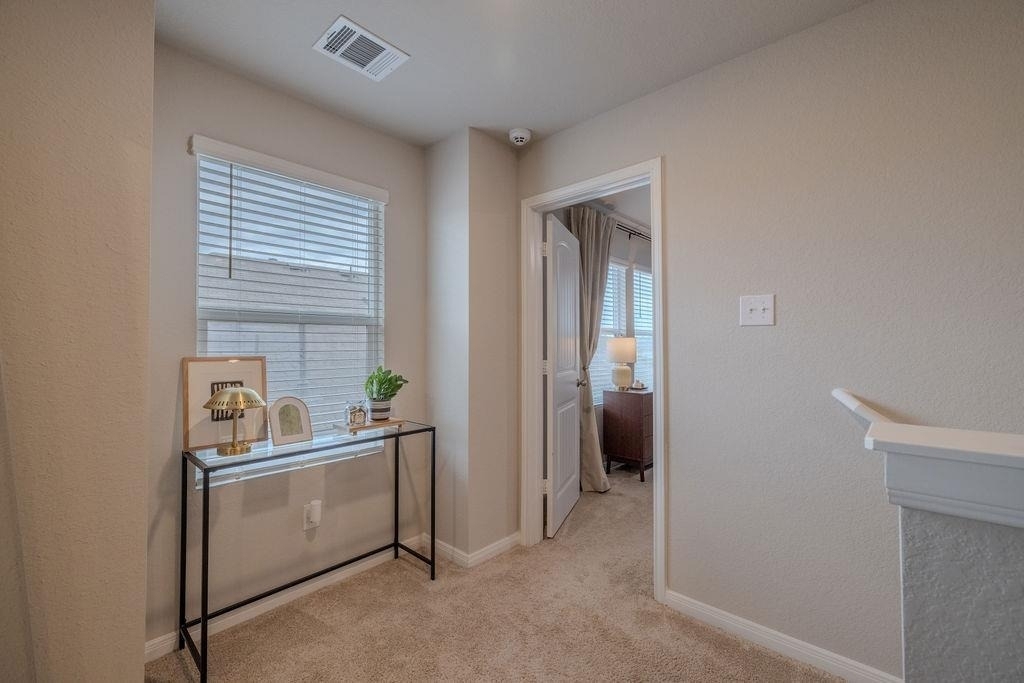 393 Apache Plum Dr - Photo 12