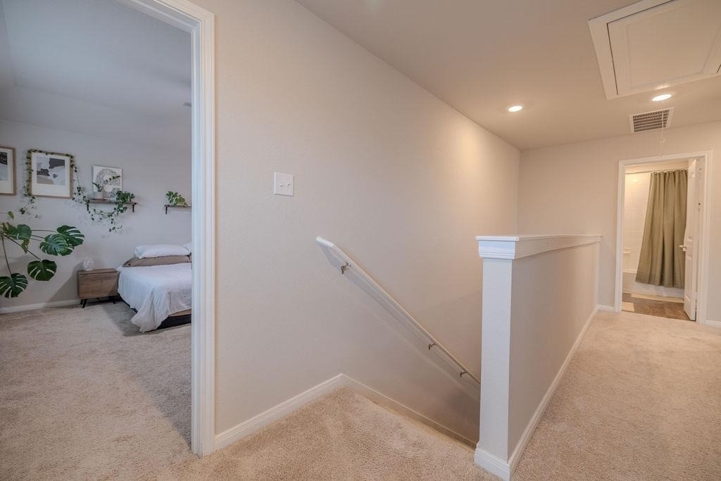 393 Apache Plum Dr - Photo 19