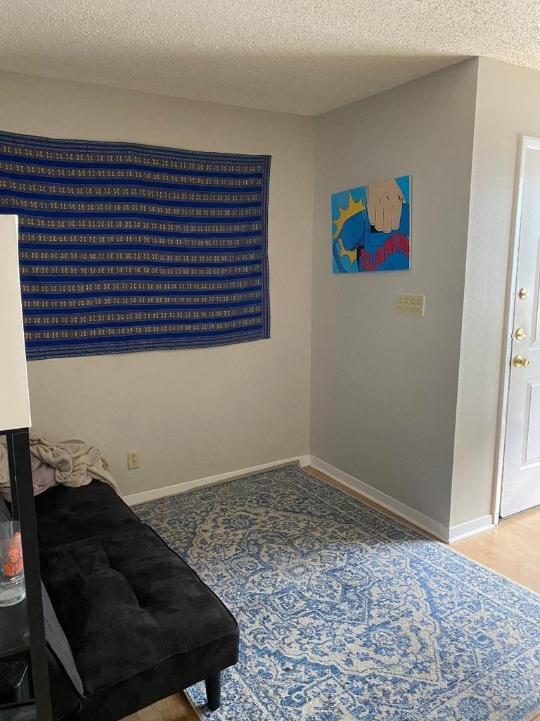 2510 San Gabriel St - Photo 5